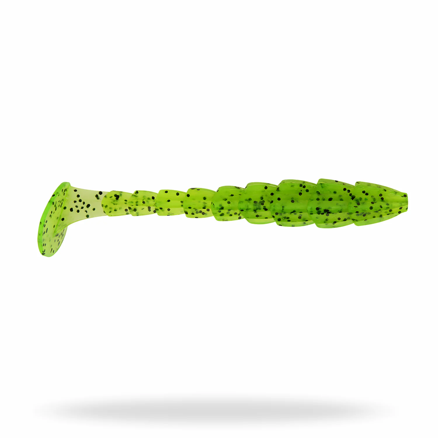 ridge shad